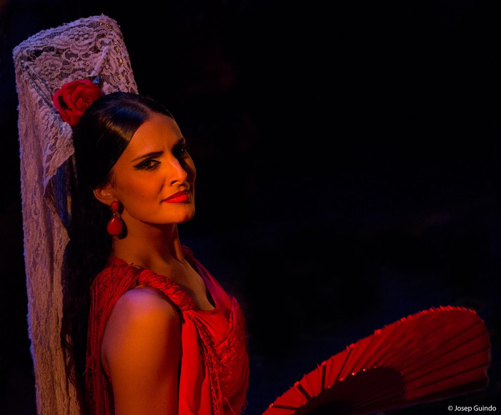 Carmen Ballet Flamenco de Madrid