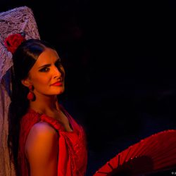 Carmen Ballet Flamenco de Madrid