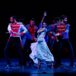 Carmen Ballet Flamenco de Madrid