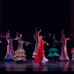 Carmen Ballet Flamenco de Madrid