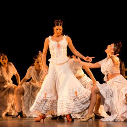 Carmen Ballet Flamenco de Madrid