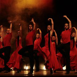España Baila Flamenco