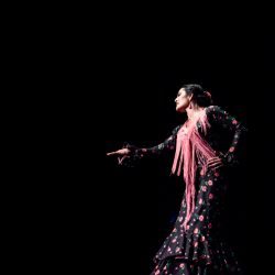 Flamenco Feeling