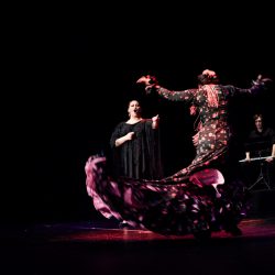 Flamenco Feeling