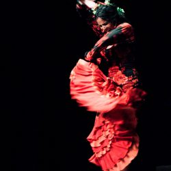 Flamenco Feeling